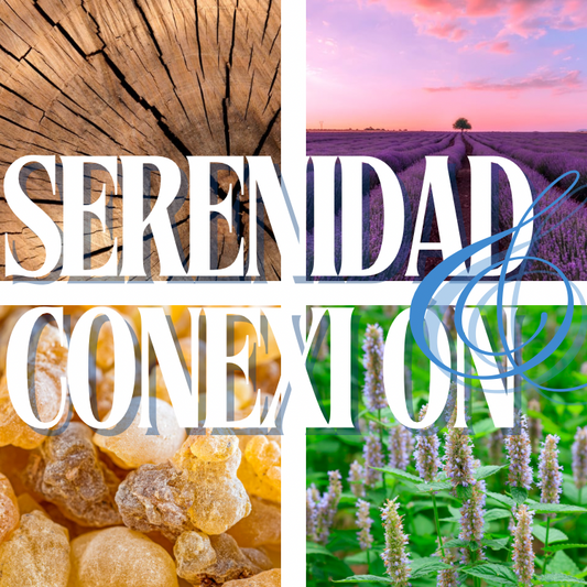 Serenidad y Conexión