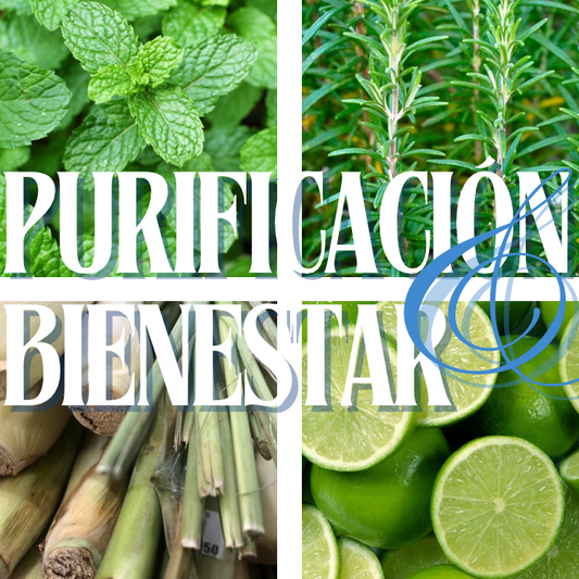 Purificación y Bienestar