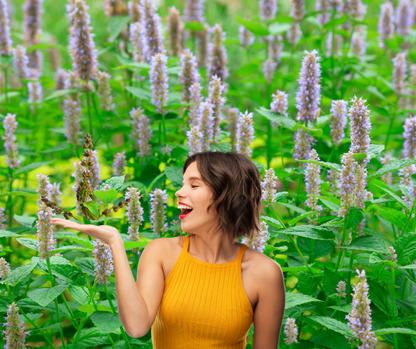 AURA CUARZO DE PATCHOULI